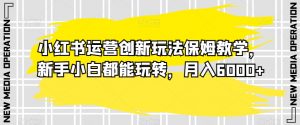 小红书运营创新玩法保姆教学,新手小白都能玩转,月入6000+【揭秘】-赚钱驿站