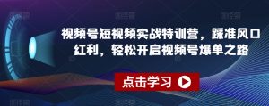 视频号短视频实战特训营,踩准风口红利,轻松开启视频号爆单之路-赚钱驿站