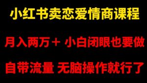 小红书卖恋爱情商课程,月入两万+,小白闭眼也要做,自带流量,无脑操作就行了【揭秘】-赚钱驿站