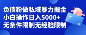 负债粉私域暴力掘金,小白操作入5000,无经验限制,无条件限制【揭秘】-赚钱驿站