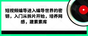 短视频编导进入编导世界的密钥,入门从拆片开始,培养网感,建素素库-赚钱驿站