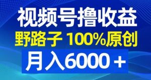 视频号野路子撸收益,100%原创,条条爆款,月入6000+【揭秘】-赚钱驿站