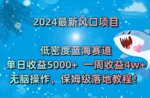 2024最新风口项目,低密度蓝海赛道,单日收益5000+,一周收益4w+!【揭秘】-赚钱驿站