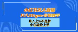 小红书无人直播月入30gmv实操教学,月入上w不是梦,小白轻松上手【揭秘】-赚钱驿站