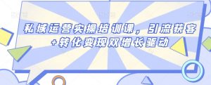 私域运营实操培训课,引流获客+转化变现双增长驱动-赚钱驿站