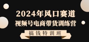 2024年风口赛道视频号电商带货训练营搞钱特训班,带领大家快速入局自媒体电商带货-赚钱驿站
