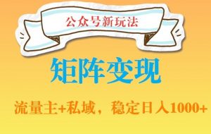 公众号软件玩法私域引流网盘拉新,多种变现,稳定日入1000【揭秘】-赚钱驿站