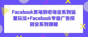 Facebook菜鸟到老鸟全系列运营玩法+Facebook专业广告投放全系列课程-赚钱驿站
