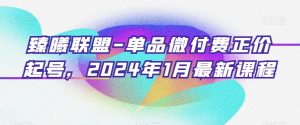 臻曦联盟-单品微付费正价起号,2024年1月最新课程-赚钱驿站