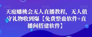 天庭蟠桃会无人直播教程,无人值守礼物收到爆【免费整蛊软件+直播间搭建软件】-赚钱驿站