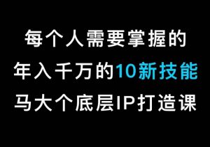 马大个的IP底层逻辑课,每个人需要掌握的年入千万的10新技能,约会底层IP打造方法!-赚钱驿站