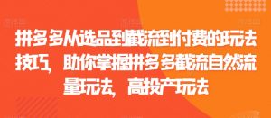 拼多多从选品到截流到付费的玩法技巧,助你掌握拼多多截流自然流量玩法,高投产玩法-赚钱驿站