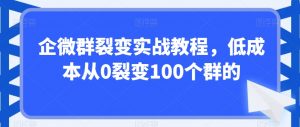 企微群裂变实战教程,低成本从0裂变100个群的-赚钱驿站