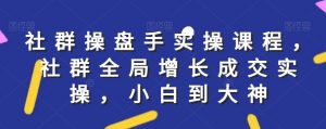 社群实操课程,社群全局增长成交实操,小白到大神-赚钱驿站