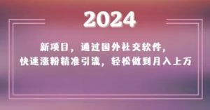 2024新项目，通过国外社交软件，快速涨粉精准引流，轻松做到月入上万【揭秘】-赚钱驿站