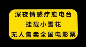 深夜情感疗愈电台,挂载小雪花,无人售卖全国电影票【揭秘】-赚钱驿站