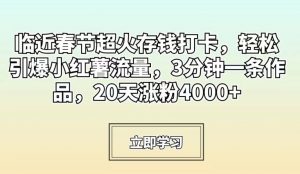 临近春节超火存钱打卡,轻松引爆小红薯流量,3分钟一条作品,20天涨粉4000+【揭秘】-赚钱驿站