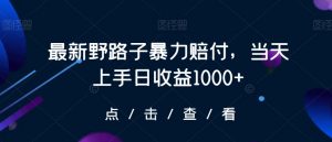最新野路子暴力赔付,当天上手日收益1000+【仅揭秘】-赚钱驿站