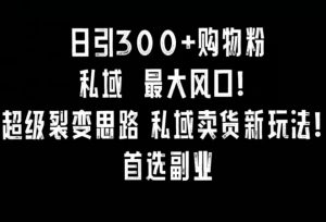 日引300+购物粉,超级裂变思路,私域卖货新玩法,小红书首选副业【揭秘】-赚钱驿站