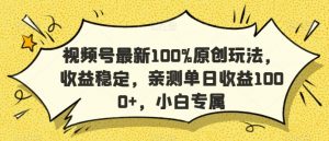视频号最新100%原创玩法,收益稳定,亲测单日收益1000+,小白专属【揭秘】-赚钱驿站