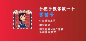 手把手教你做一个营销号,小白短视频创业首选,从做一个营销号开始,日入300+【揭秘】-赚钱驿站