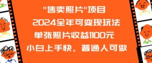 2024全年可变现玩法”售卖照片”单张照片收益1100元小白上手快,普通人可做【揭秘】-赚钱驿站