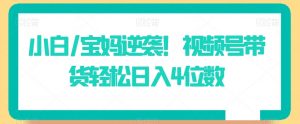 小白/宝妈逆袭!视频号带货轻松日入4位数【揭秘】-赚钱驿站
