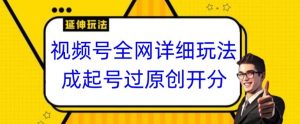 视频号全网最详细玩法,起号过原创开分成,单号日入300+【揭秘】-赚钱驿站