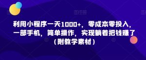 利用小程序一天1000+,零成本零投入,一部手机,简单操作,实现躺着把钱赚了(附教学素材)【揭秘】-赚钱驿站