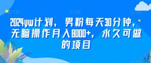 2024yw计划,男粉每天30分钟,无脑操作月入8000+,永久可做的项目【揭秘】-赚钱驿站
