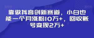 靠做抖音创新赛道,小白也能一个月涨粉10万+,回收账号变现2万+【揭秘】-赚钱驿站