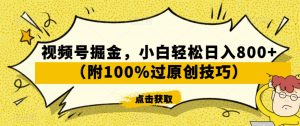 视频号掘金,小白轻松日入800+(附100%过原创技巧)【揭秘】-赚钱驿站