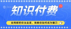 2024最新知识付费项目,小白也能轻松入局,全网都在教你做项目,我教你做镰刀【揭秘】-赚钱驿站