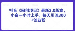 抖音《网创项目》最新3.0版本,小白一小时上手,每天引流300+创业粉【揭秘】-赚钱驿站