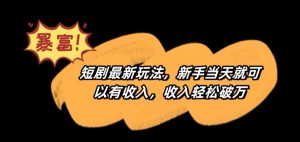 短剧最新玩法,新手当天就可以有收入,收入轻松破万【揭秘】-赚钱驿站