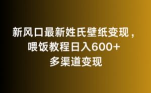新风口最新姓氏壁纸变现,喂饭教程日入600+【揭秘】-赚钱驿站