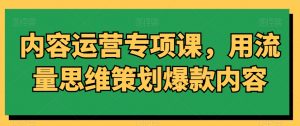 内容运营专项课,用流量思维策划爆款内容-赚钱驿站