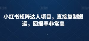 小红书矩阵达人项目,直接复制搬运,回报率非常高-赚钱驿站