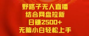 野路子无人直播结合网盘拉新,日赚2500+,小白无脑轻松上手【揭秘】-赚钱驿站