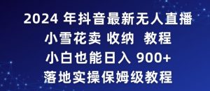 2024年抖音最新无人直播小雪花卖收纳教程,小白也能日入900+落地实操保姆级教程【揭秘】-赚钱驿站