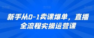 新手从0-1卖课爆单,直播全流程实操运营课-赚钱驿站