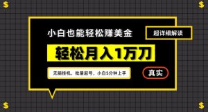 谷歌看广告撸美金2.0,无脑挂机,多号操作,月入1万刀【揭秘】-赚钱驿站