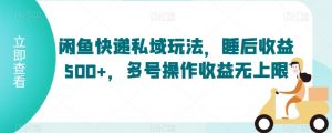 闲鱼快递私域玩法,睡后收益500+,多号操作收益无上限【揭秘】-赚钱驿站