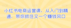 小红书电商运营课,从入门到精通,带你抓住又一个赚钱风口-赚钱驿站
