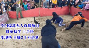 冷门爆款无人直播项目,简单易学上手快,变现快日赚2千不是梦【揭秘】-赚钱驿站