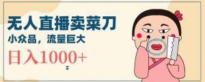 无人冷门品直播新玩法,通过卖菜刀日入1000+【揭秘】-赚钱驿站