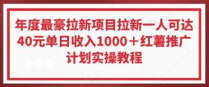年度最豪拉新项目拉新一人可达40元单日收入1000+红薯推广计划实操教程【揭秘】-赚钱驿站