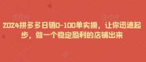 2024拼多多日销0-100单实操,让你迅速起步,做一个稳定盈利的店铺出来-赚钱驿站