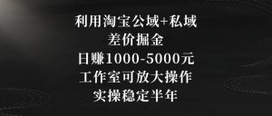 利用淘宝公域+私域差价掘金,日赚1000-5000元,工作室可放大操作,实操稳定半年【揭秘】-赚钱驿站