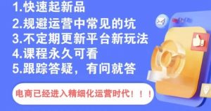 文西电商课程,规避运营中常见的坑-赚钱驿站